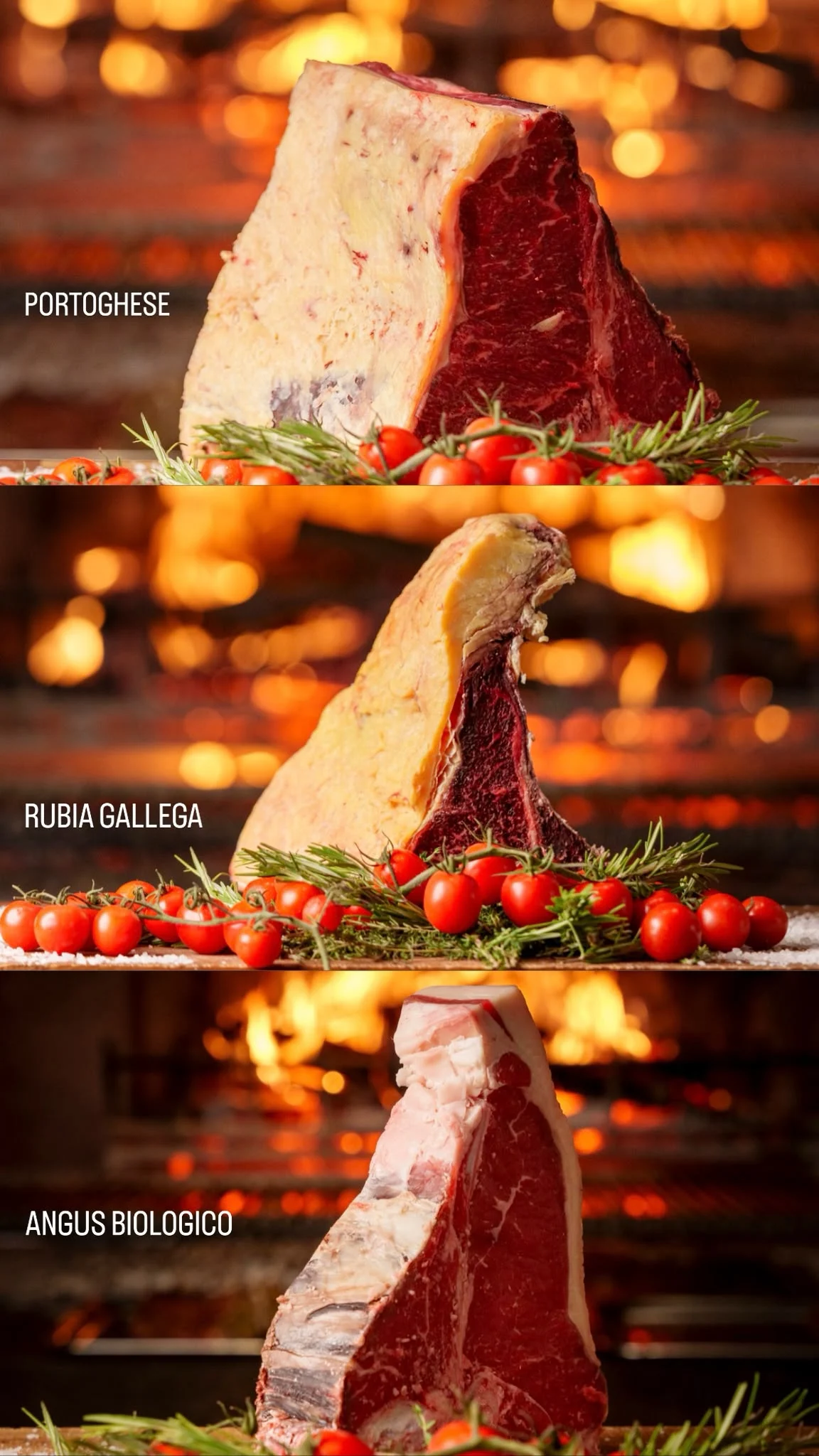 Tre tagli di carne frollata davanti al fuoco del caminetto: portoghese, Rubia Gallega e Angus biologico